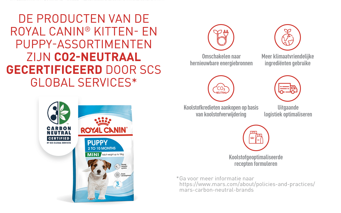 Royal Canin Puppy Mini Dry Mobile